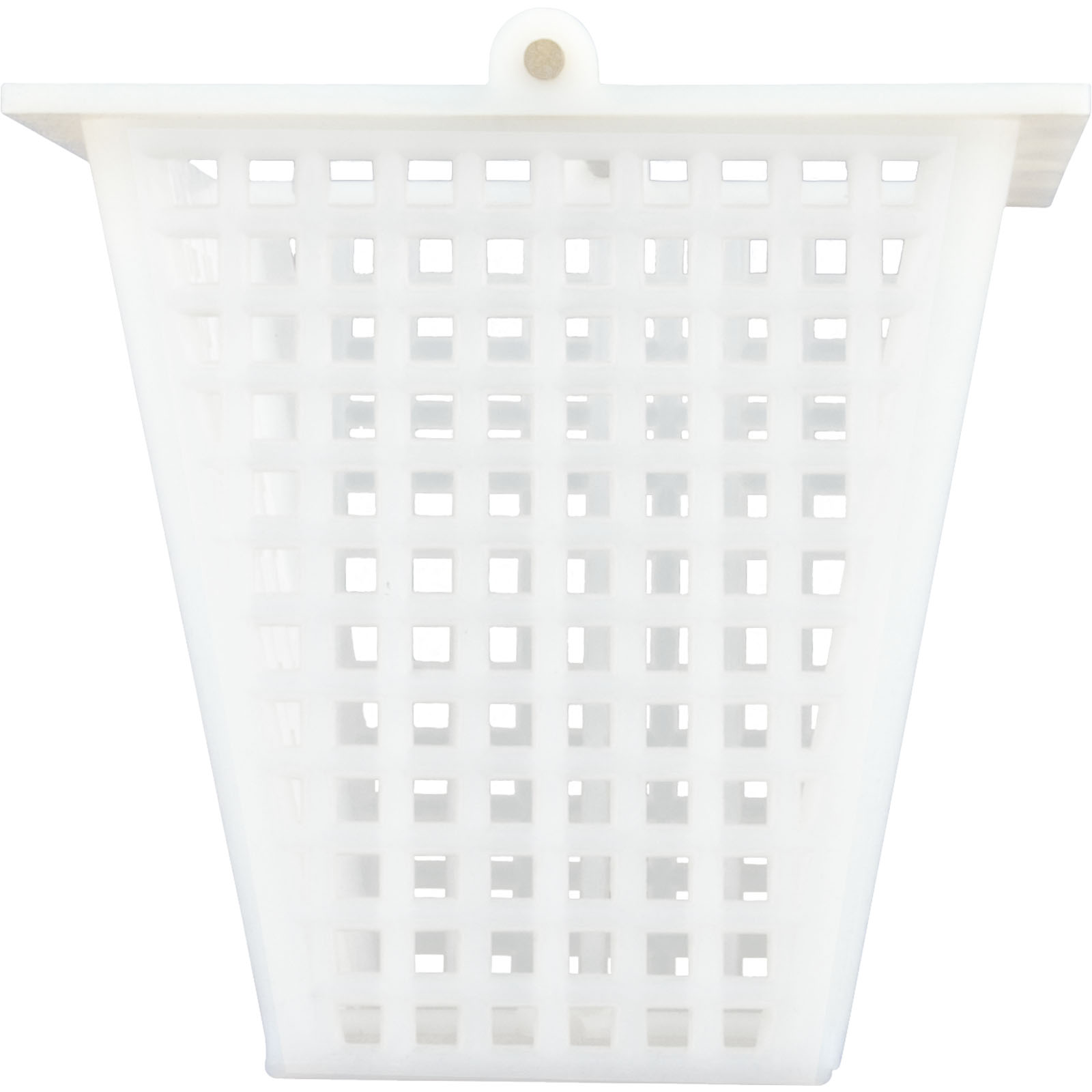 Picture of Basket, Skimmer, OEM American Products/Pentair, Twin Port