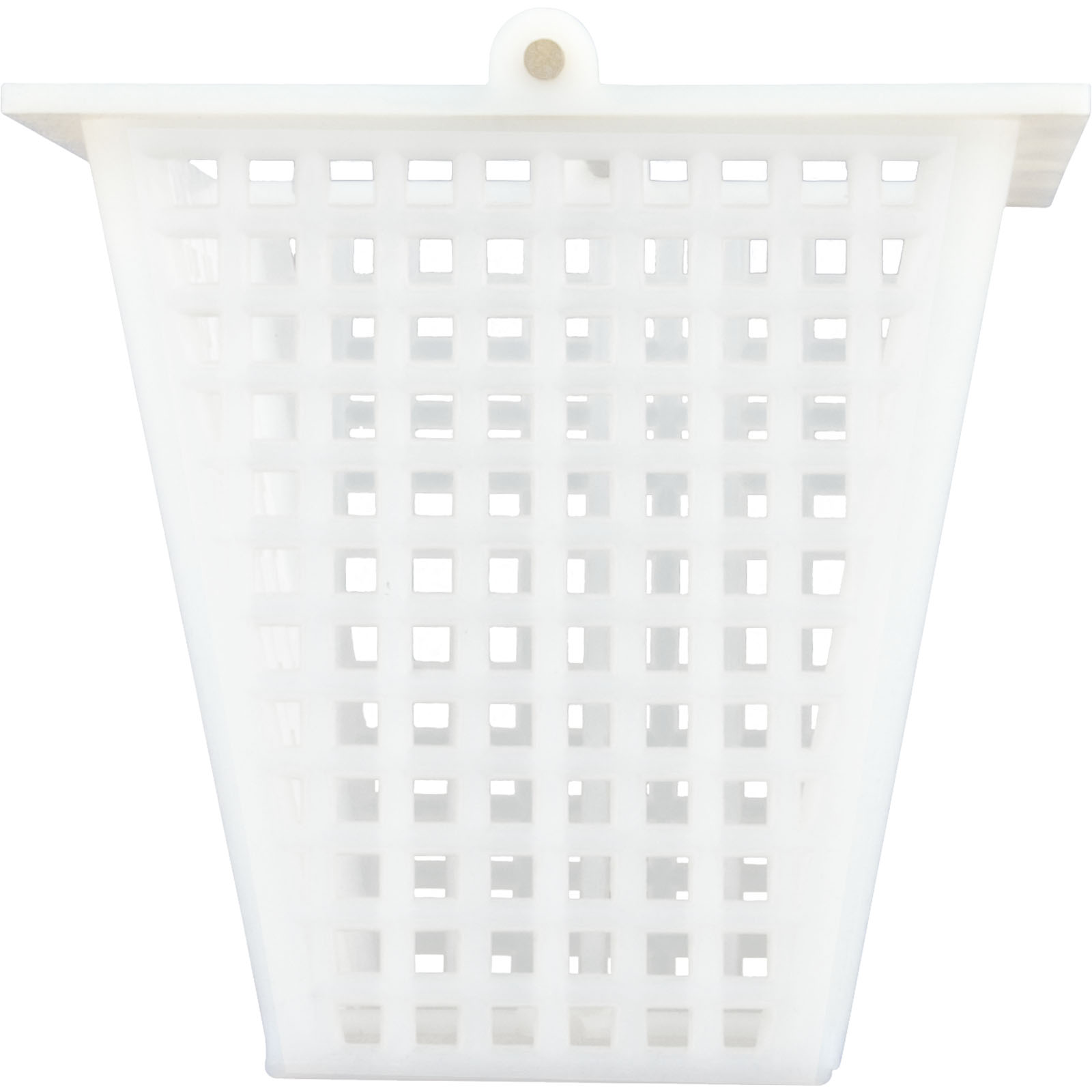 Picture of 451120 Basket Skimmer OEM American Products/Pentair Twin Port