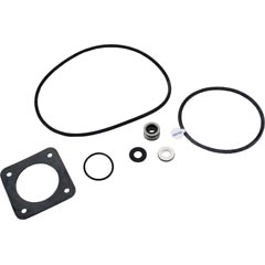 Seal Kit, Pentair Sta-Rite DuraGlas, Pre 1998 35-102-1135