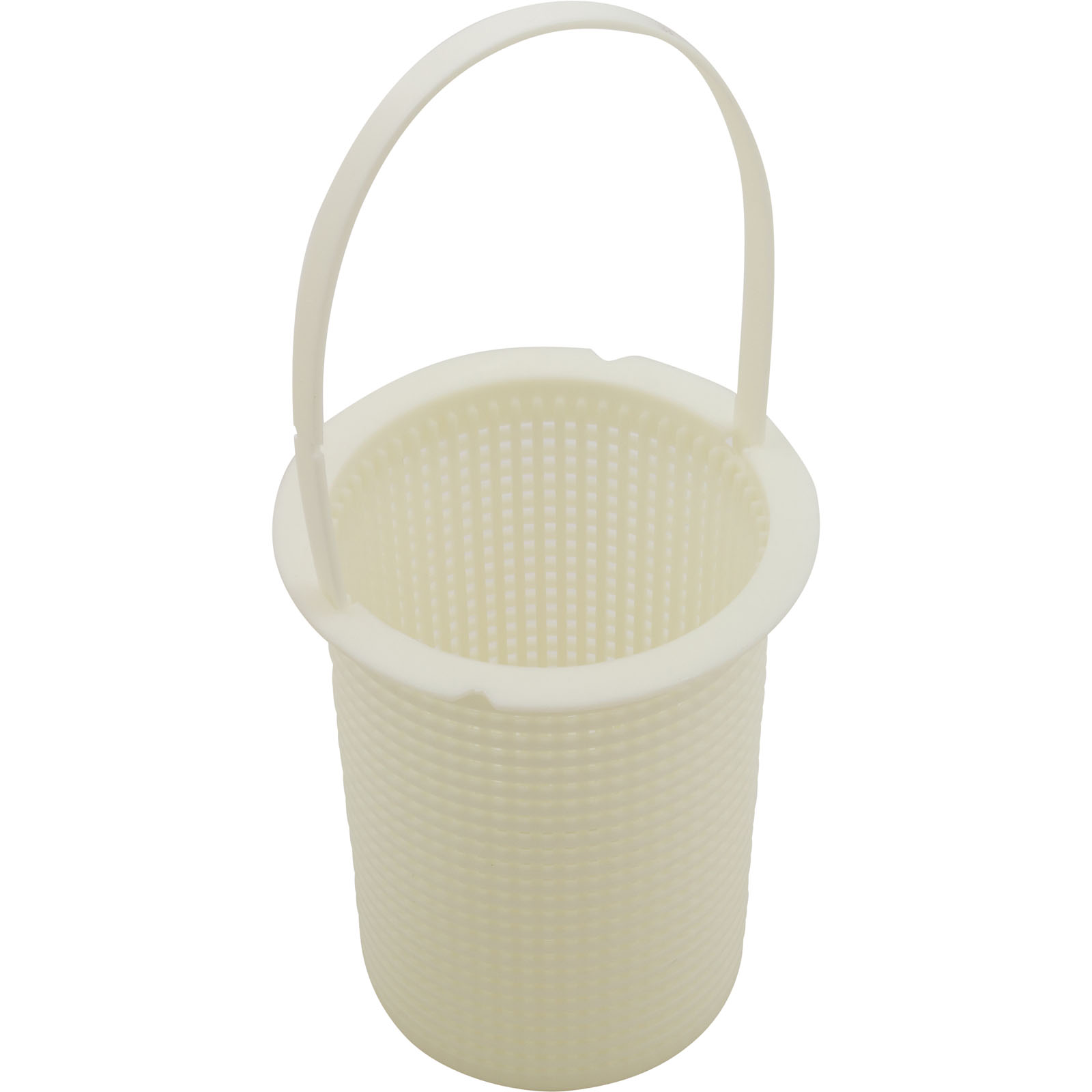 Picture of 018226F Basket Pump Raypak Protege RPAGP