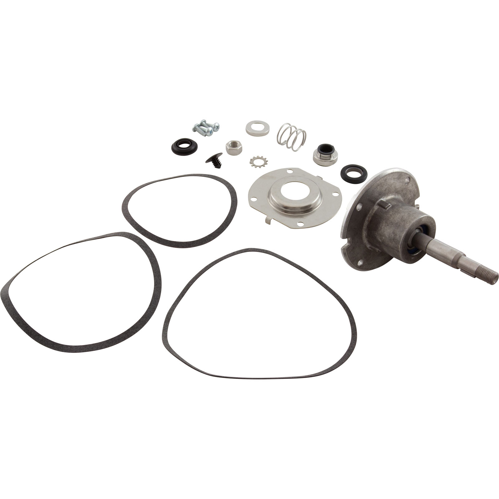 Picture of 100277757 Pump Bearing Kit Lochinvar
