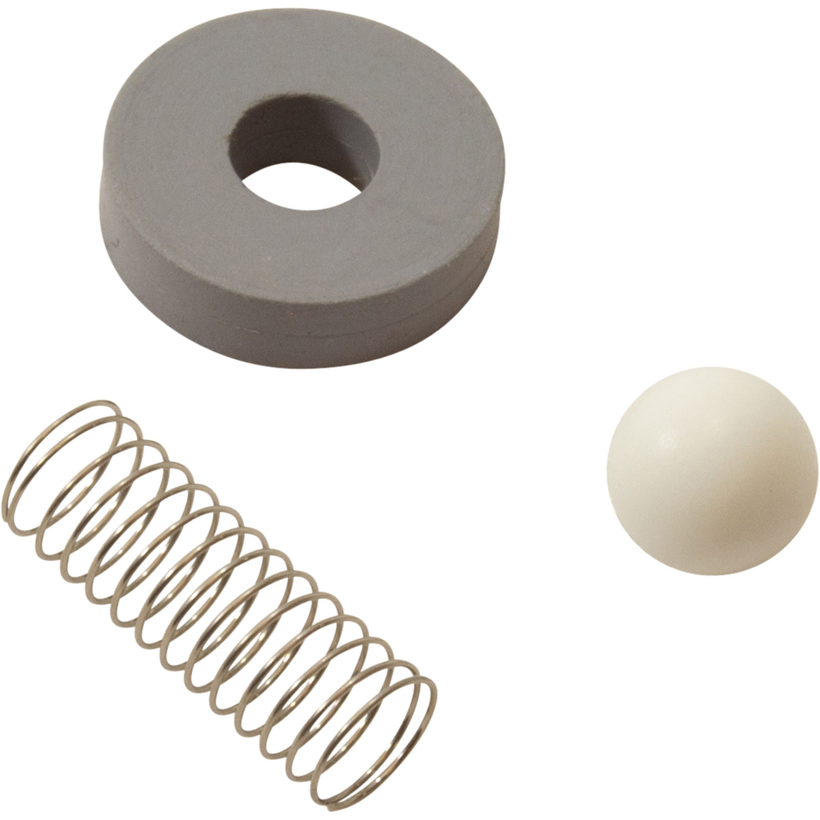 Picture of CR-2 Rebuild Kit Mazzei Check Valve #484/684