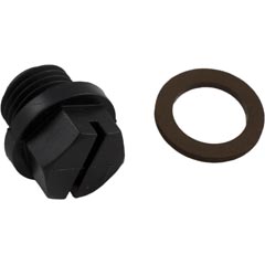 Drain Plug, Hayward Chlorinator CL200/CL220, with Gasket 43-150-1068
