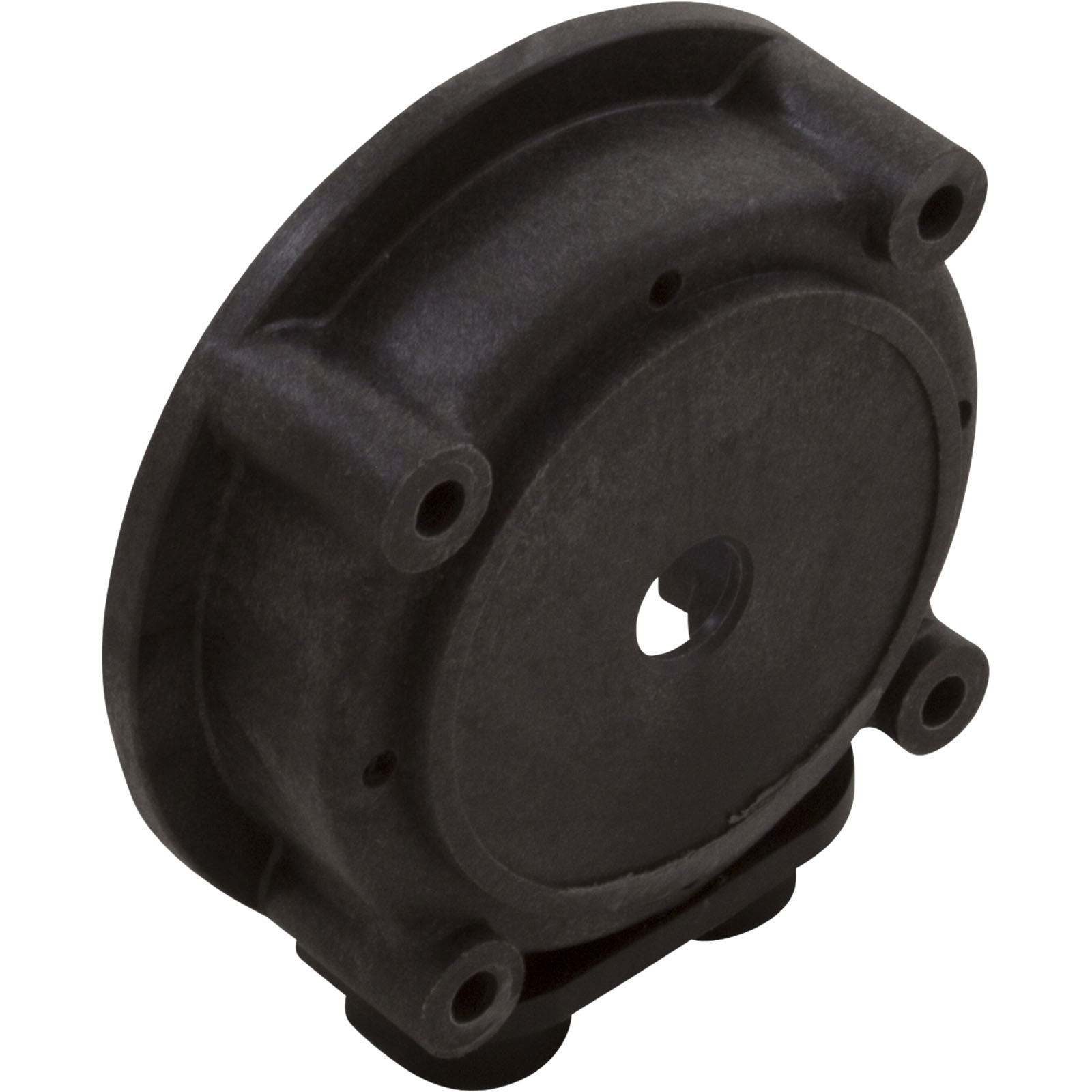 Picture of A-005 Pump Head Blue-White A-1600 Nylon