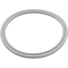 O-Ring, Double, CMP Typhoon 500 55-605-1812