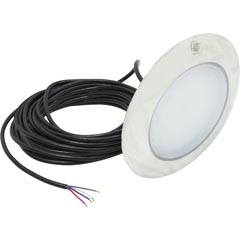 PAL EvenGlow Large Niche Light,RGB,12vdc 80ft, SS Escutcheon 56-330-2122