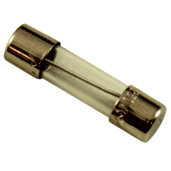 Fuse, Fast Blo, Balboa Water Group , 2A, 250v, 5mm x 20mm 60-138-1015