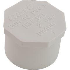 Plug, Lasco, 2" Spigot 89-575-2595