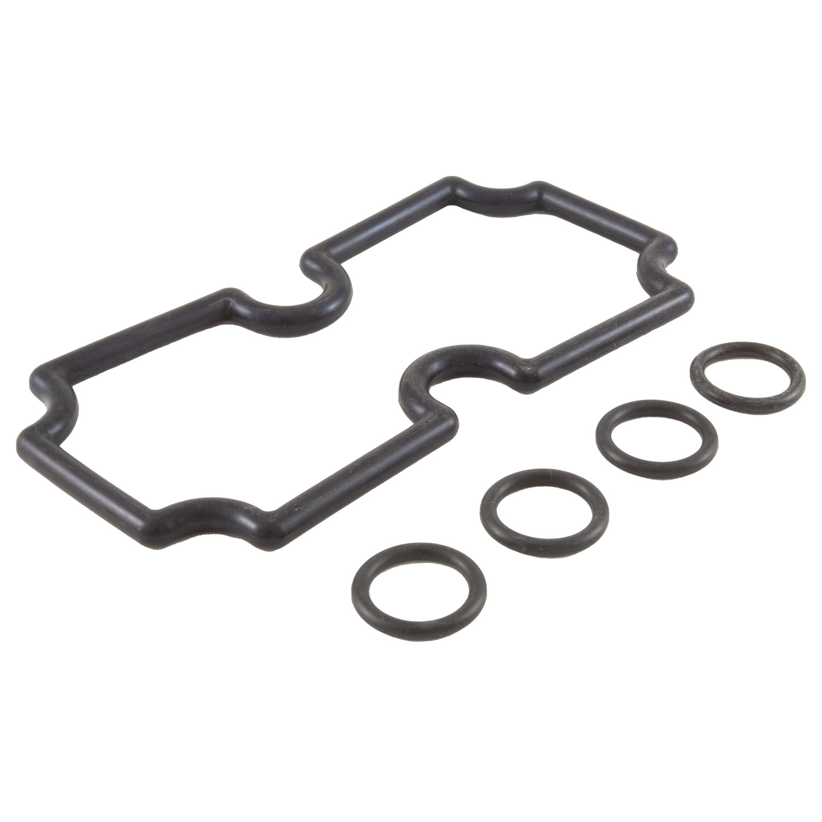 Picture of 474973 O-Ring Kit Pentair MasterTemp 125 Coil/Tubesheet Sealing
