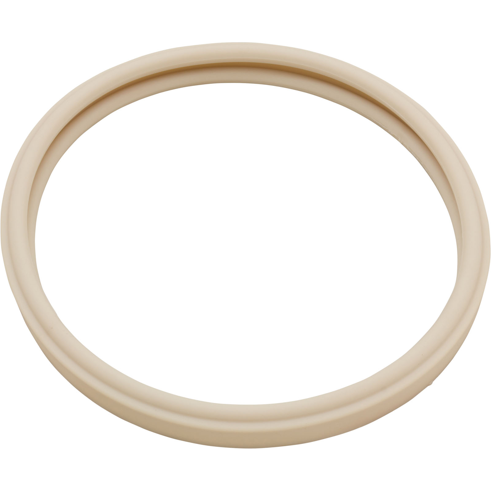 Picture of 79101600Z Gasket Pentair AmerLite Light Lens 8-3/8"