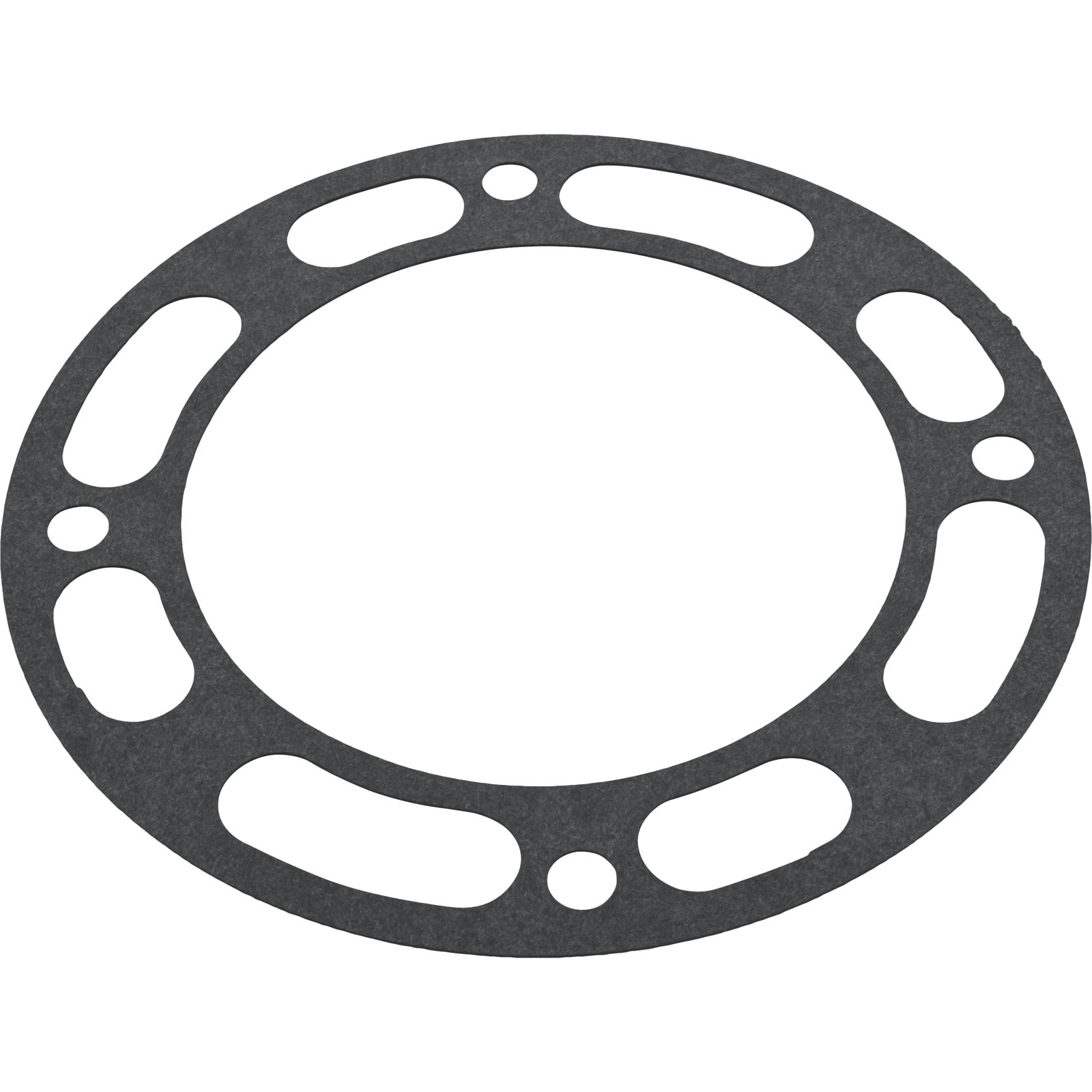 Picture of J20-11 Gasket Pentair Well & Irrigation Pump