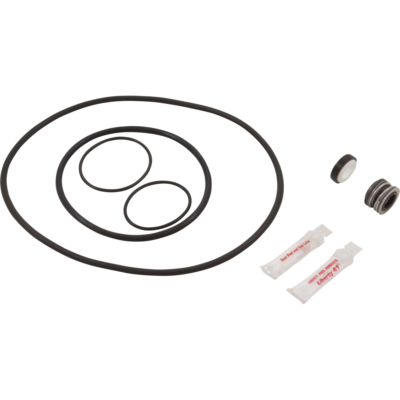 Picture of 65005 Pump Rebuild Kit 5 Challenger Pump Generic
