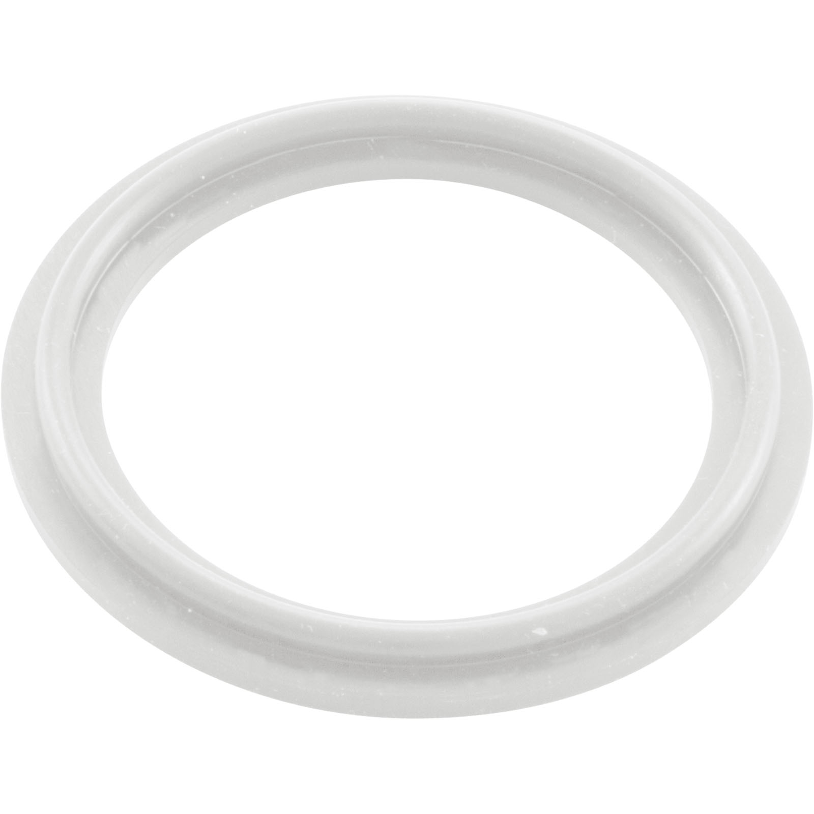 O-RING/GASKET, WATERWAY 2